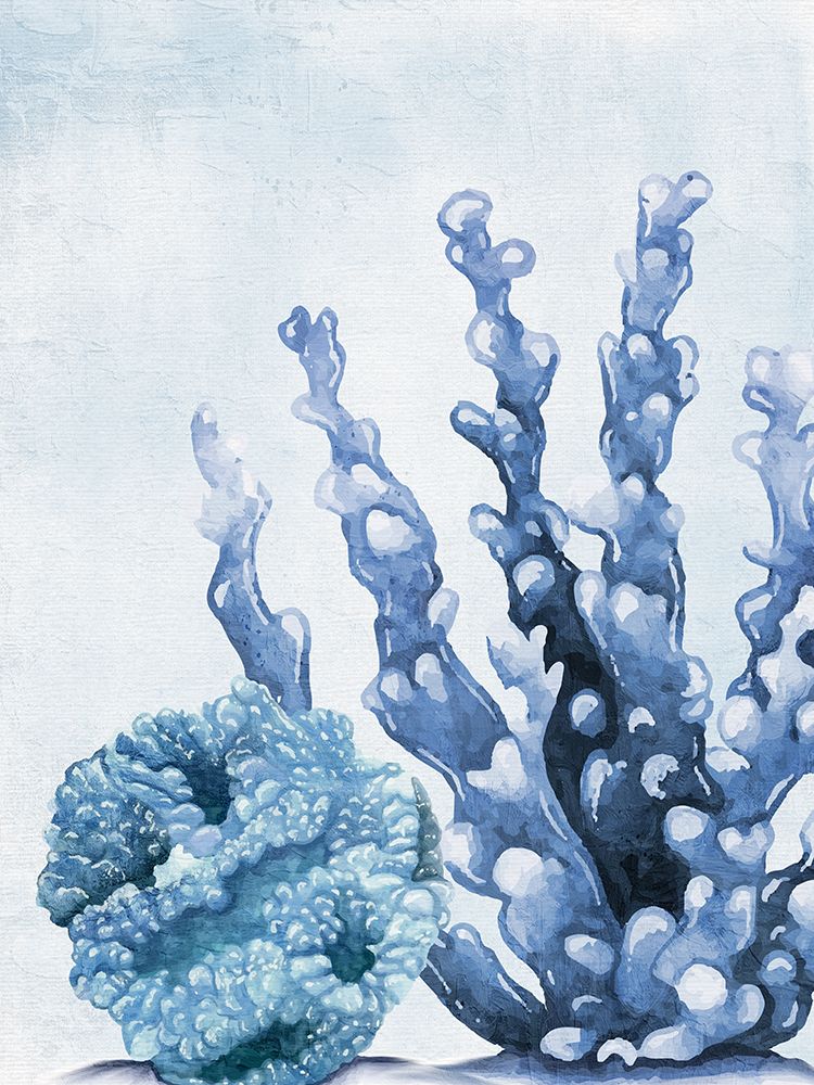 Blue Coral 2 art print by Kimberly Allen for $57.95 CAD