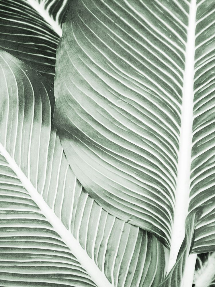 Palm Print 1 art print by Kimberly Allen for $57.95 CAD