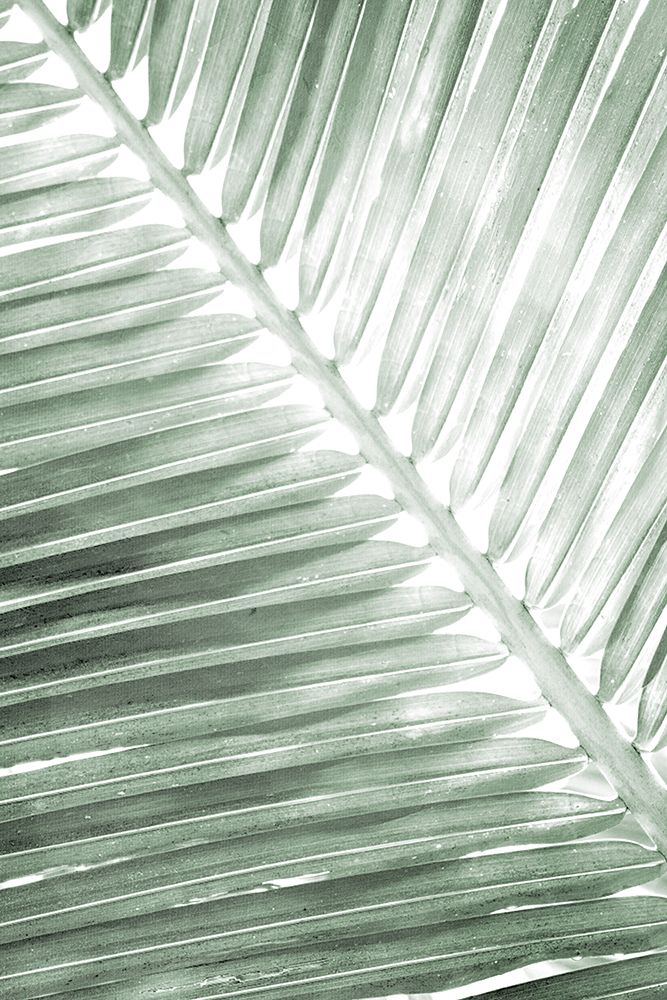 Palm Print 2 art print by Kimberly Allen for $57.95 CAD