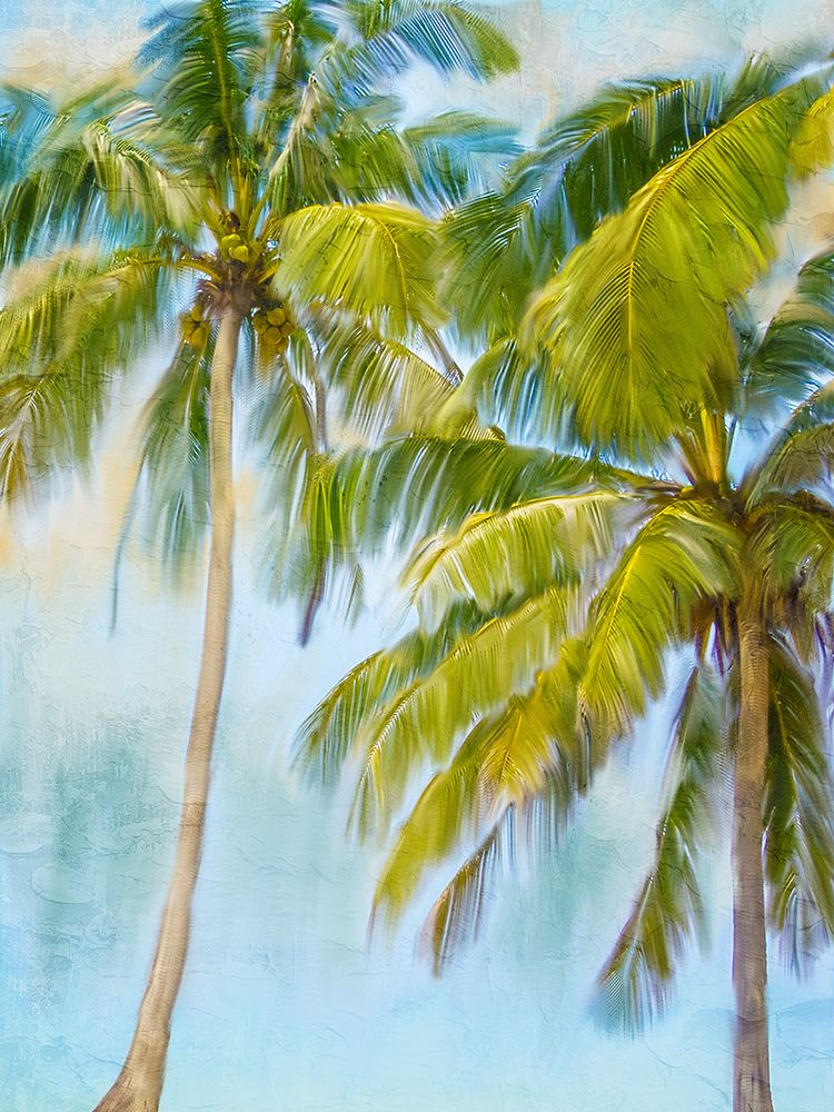 Sunset Palms 2 art print by Kimberly Allen for $57.95 CAD