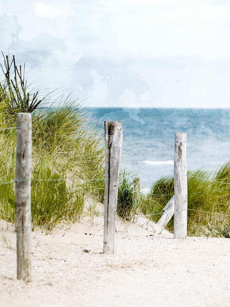 Pathway To The Beach art print by Kimberly Allen for $57.95 CAD