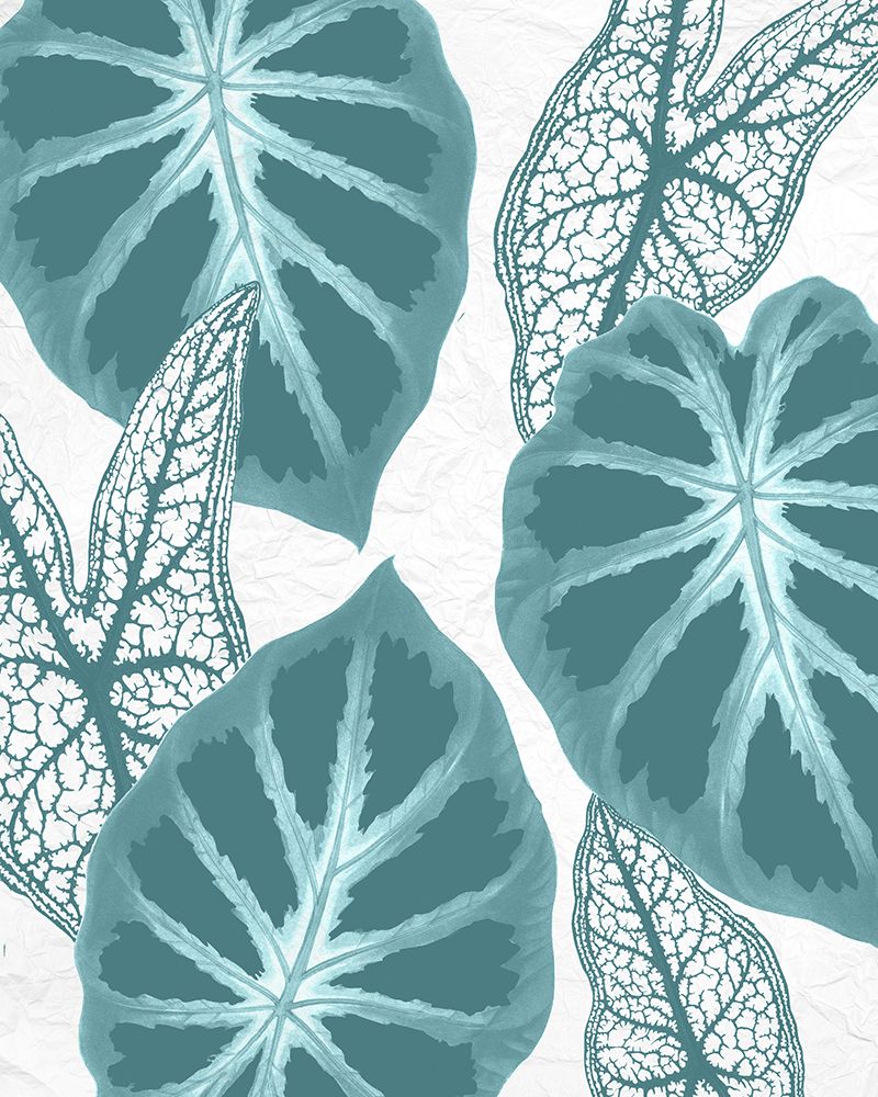 Colored Tropics 2 art print by Kimberly Allen for $57.95 CAD