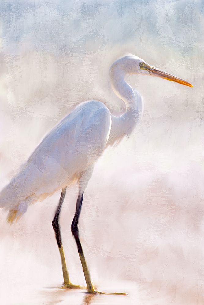 White Heron art print by Kimberly Allen for $57.95 CAD