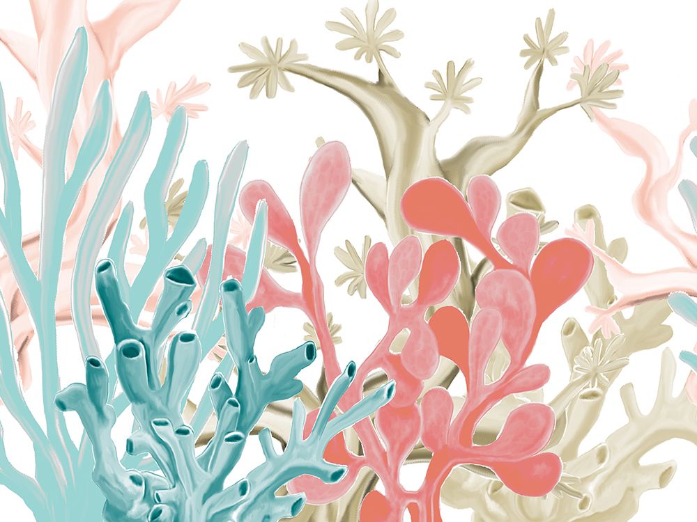 Coral Love art print by Kimberly Allen for $57.95 CAD