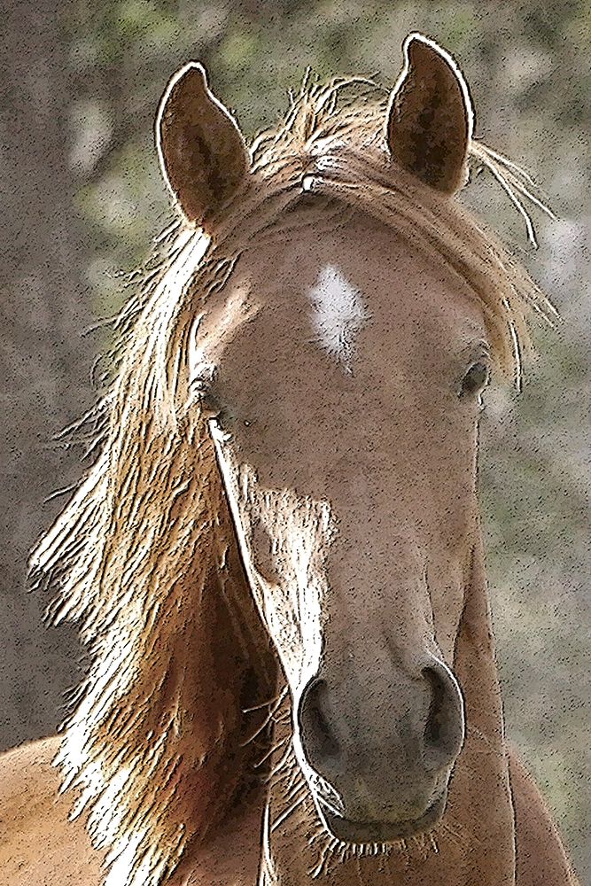 Gaze art print by Kimberly Allen for $57.95 CAD