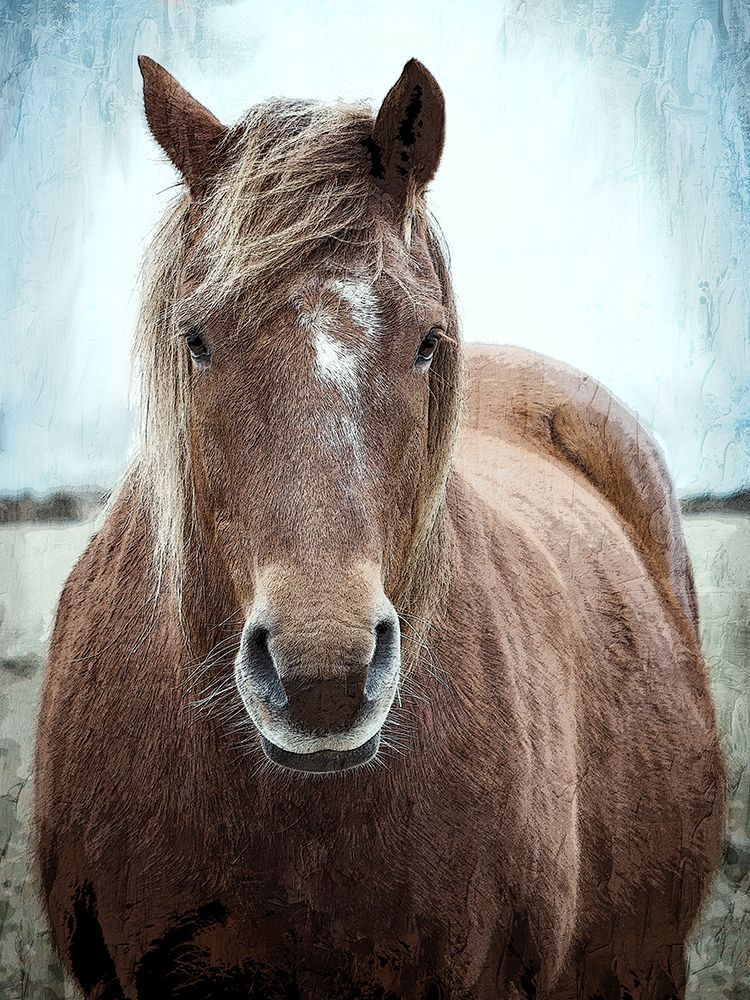 Mane 1 art print by Kimberly Allen for $57.95 CAD
