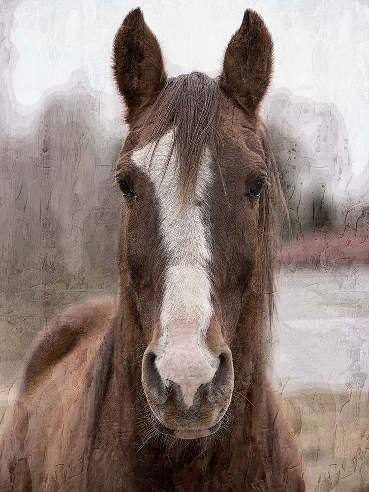 Mane 2 art print by Kimberly Allen for $57.95 CAD