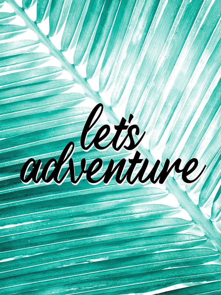 Lets Adventure Palm art print by Kimberly Allen for $57.95 CAD