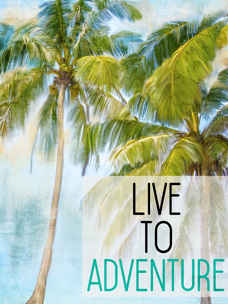 Live To Adventure art print by Kimberly Allen for $57.95 CAD