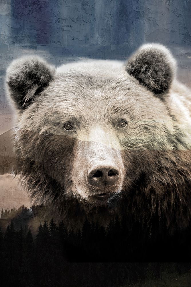 Bear Mountain Flag art print by Kimberly Allen for $57.95 CAD
