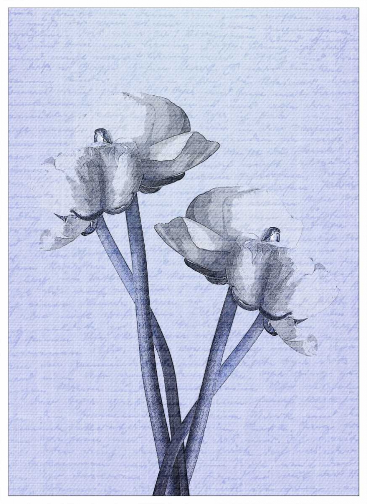 Denim Floral 1 art print by Kimberly Allen for $57.95 CAD