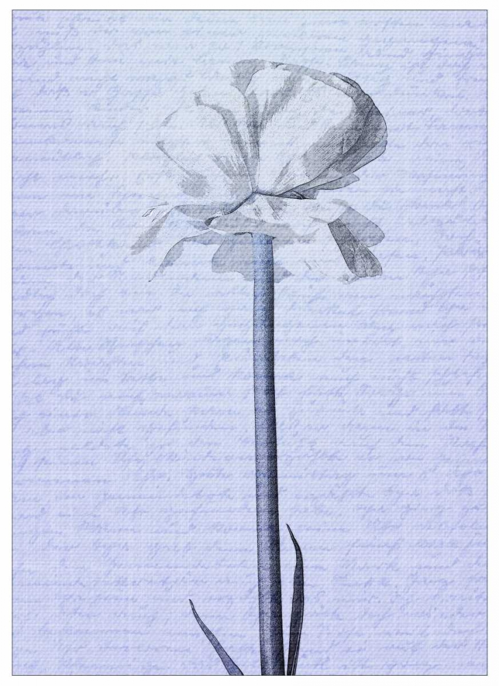 Denim Floral 2 art print by Kimberly Allen for $57.95 CAD