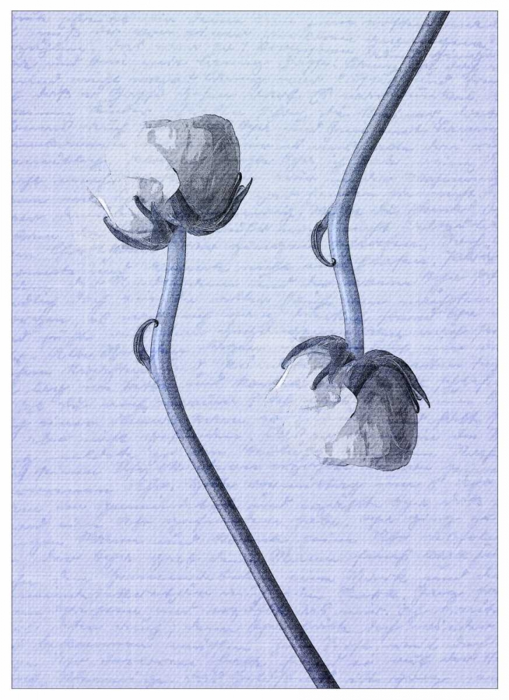 Denim Floral 3 art print by Kimberly Allen for $57.95 CAD