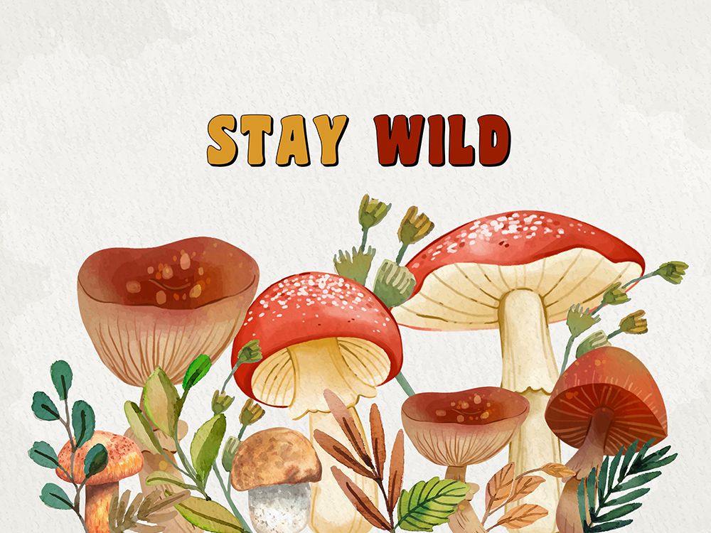 Mushrooms And Leaves 6 art print by Kimberly Allen for $57.95 CAD
