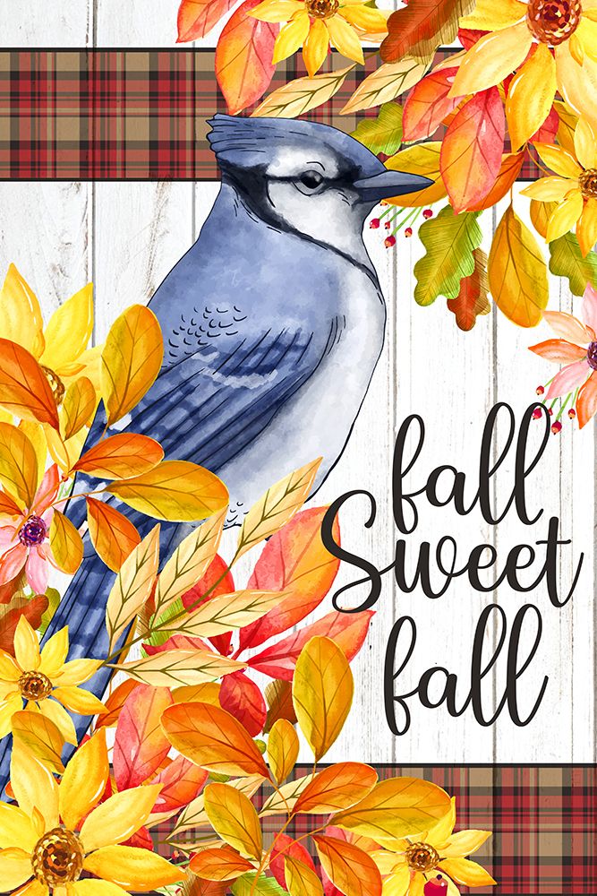 Blue Jay art print by Kimberly Allen for $57.95 CAD