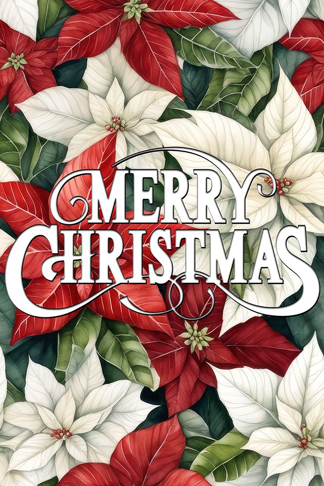 Poinsettia Christmas art print by Kimberly Allen for $57.95 CAD