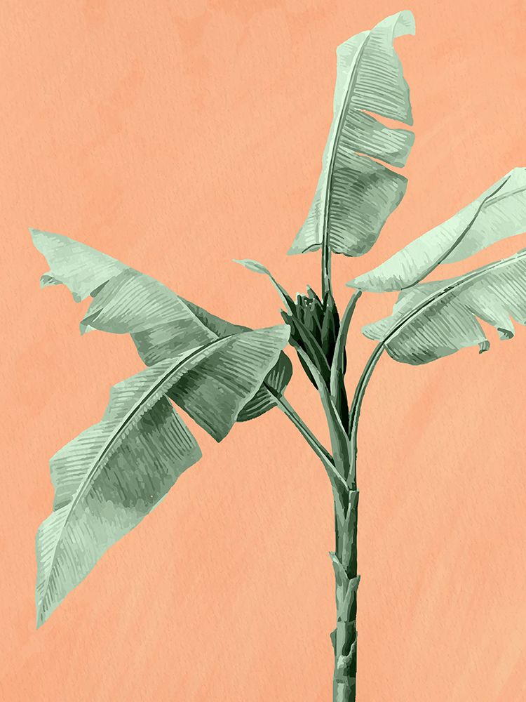 Palm On Orange 2 art print by Kimberly Allen for $57.95 CAD