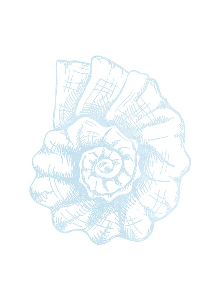 Light Blue Shell 1 art print by Kimberly Allen for $57.95 CAD