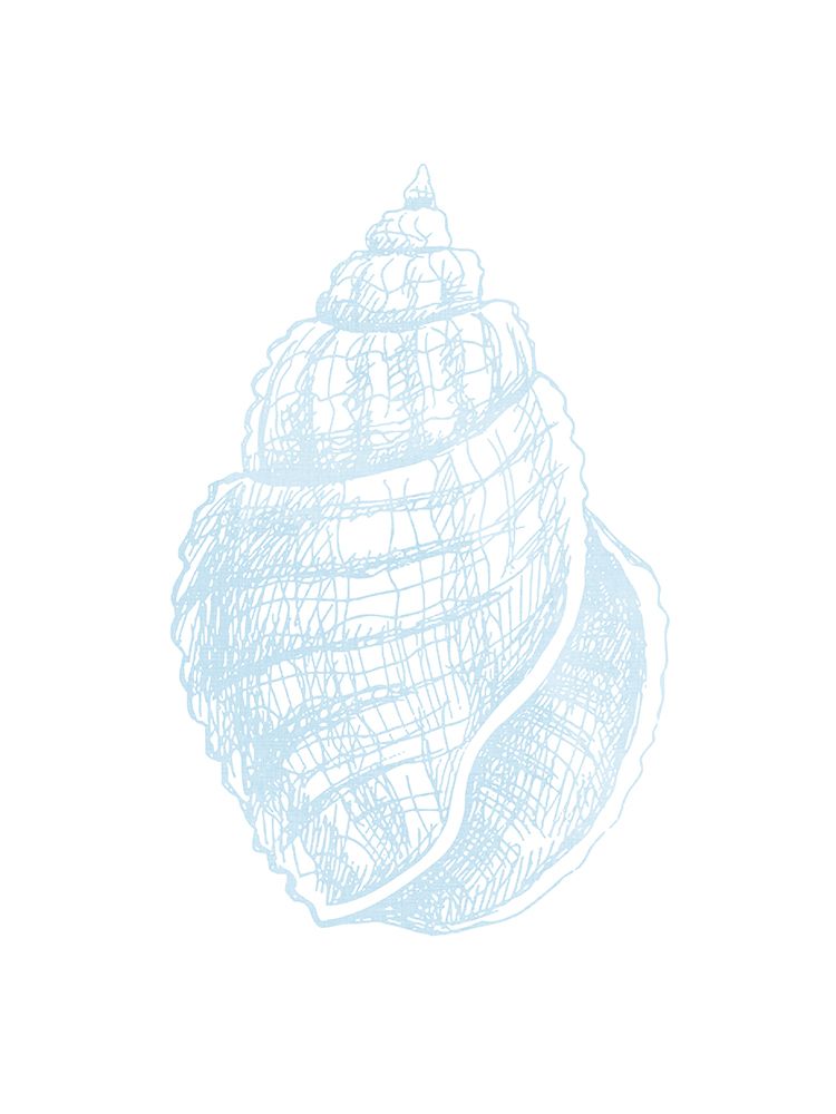 Light Blue Shell 2 art print by Kimberly Allen for $57.95 CAD