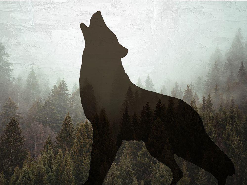 Silhouettes prints and posters