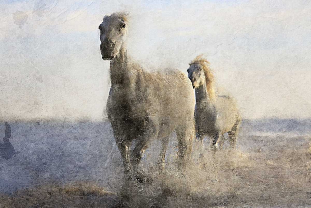 Running Free art print by Kimberly Allen for $57.95 CAD