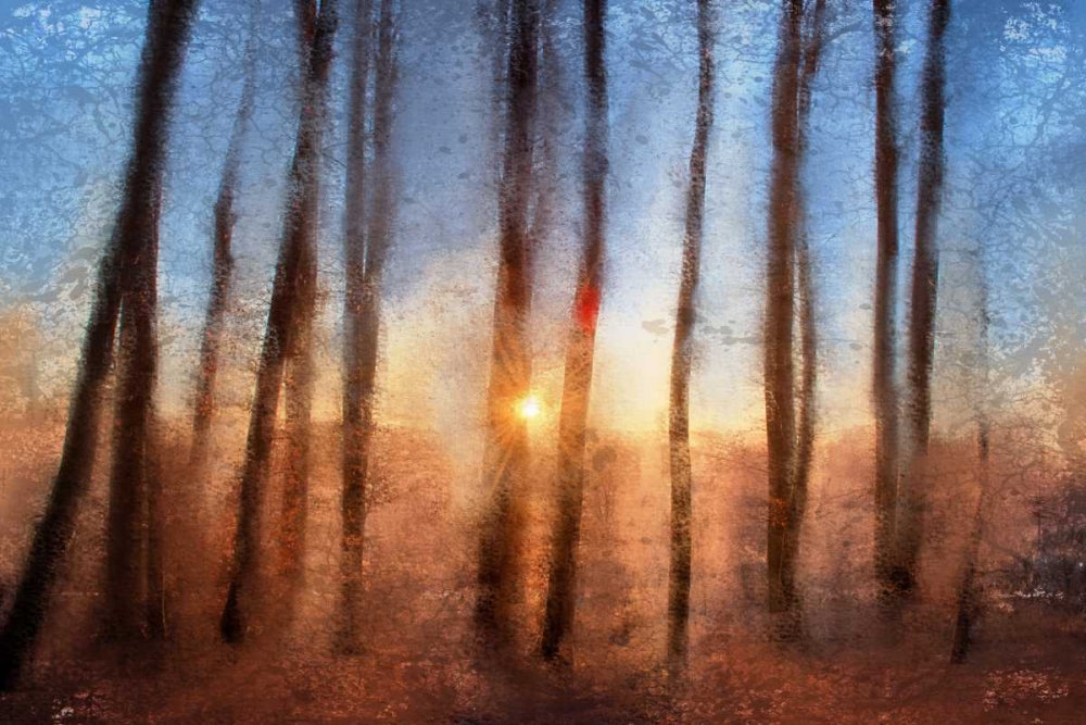 Sunset art print by Kimberly Allen for $57.95 CAD
