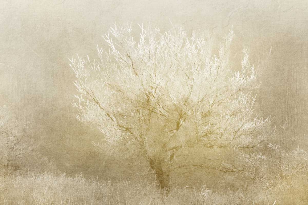 Dreaming Tree art print by Kimberly Allen for $57.95 CAD