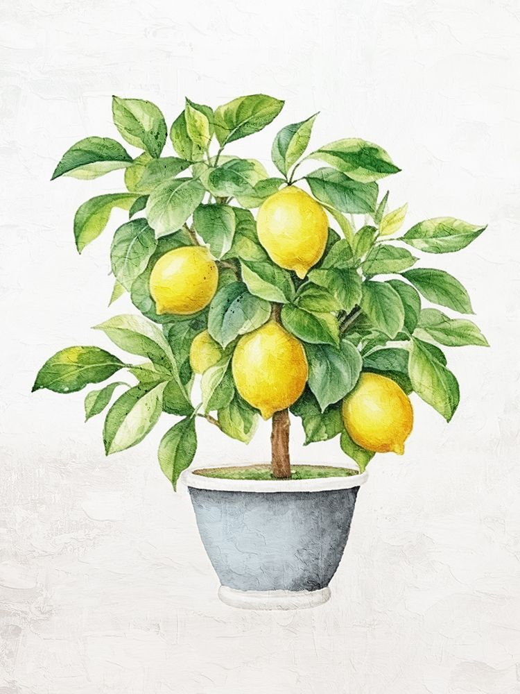 Lemon Tree 1 art print by Kimberly Allen for $57.95 CAD