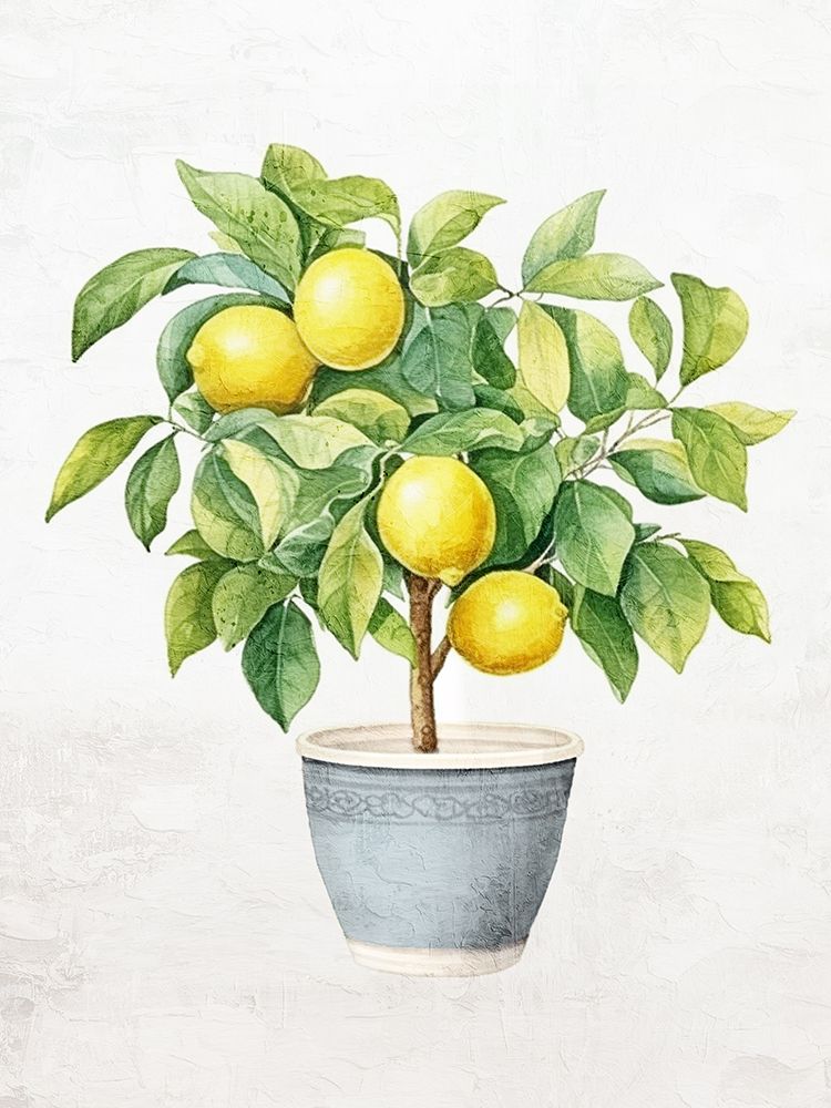 Lemon Tree 2 art print by Kimberly Allen for $57.95 CAD