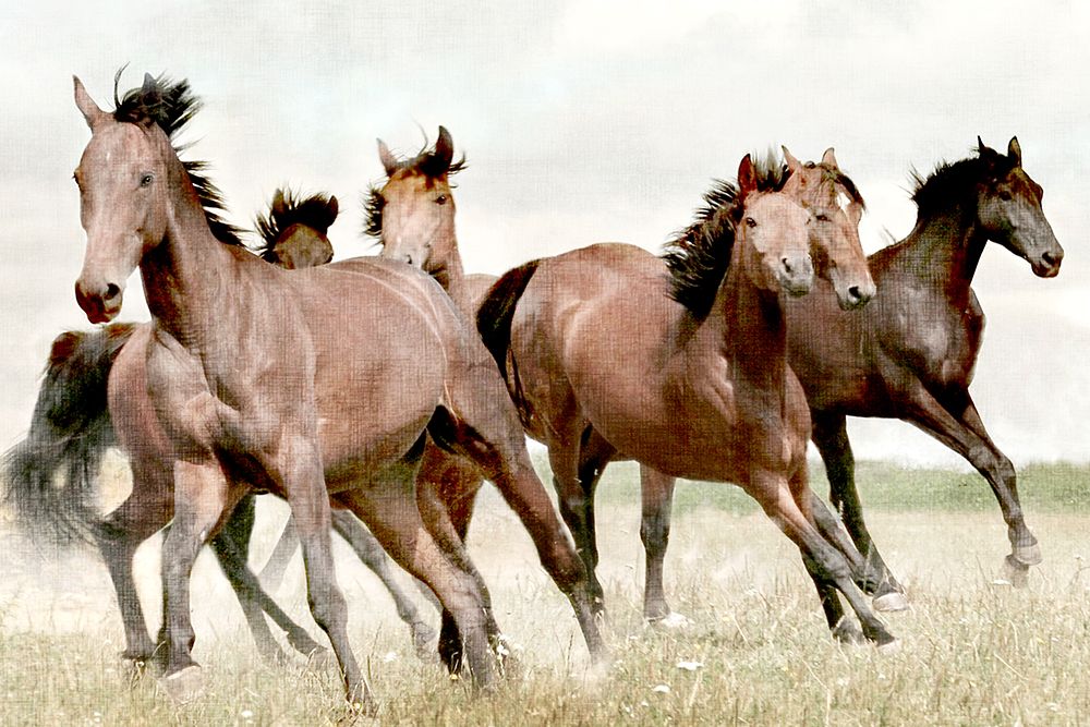 Running art print by Kimberly Allen for $57.95 CAD