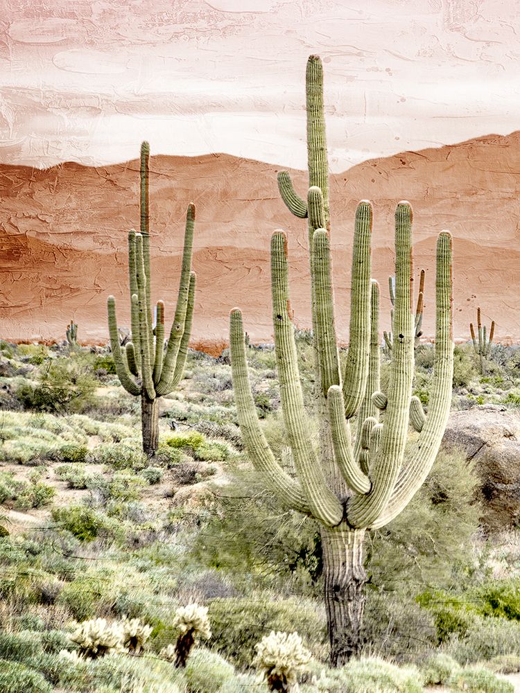 Desert Hills 1 art print by Kimberly Allen for $57.95 CAD