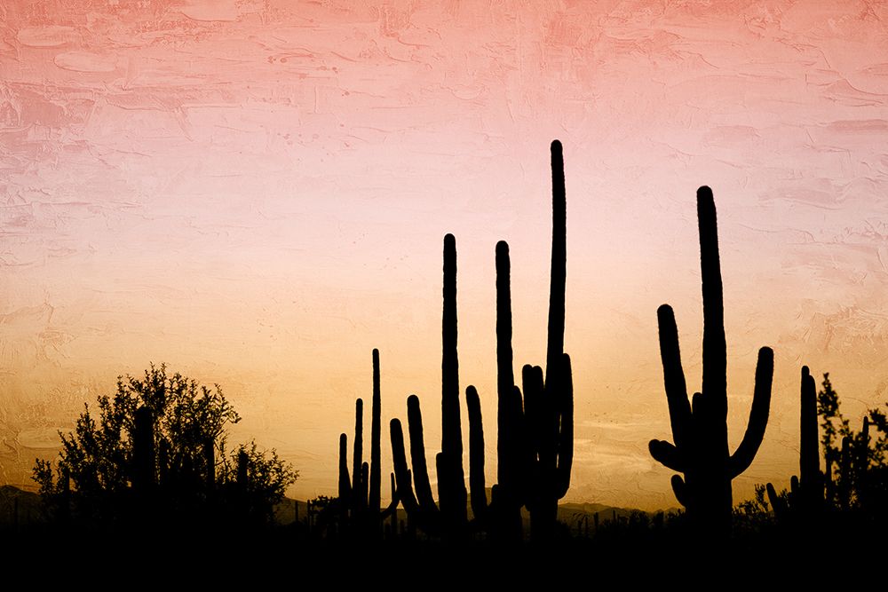 Desert Silhouette art print by Kimberly Allen for $57.95 CAD