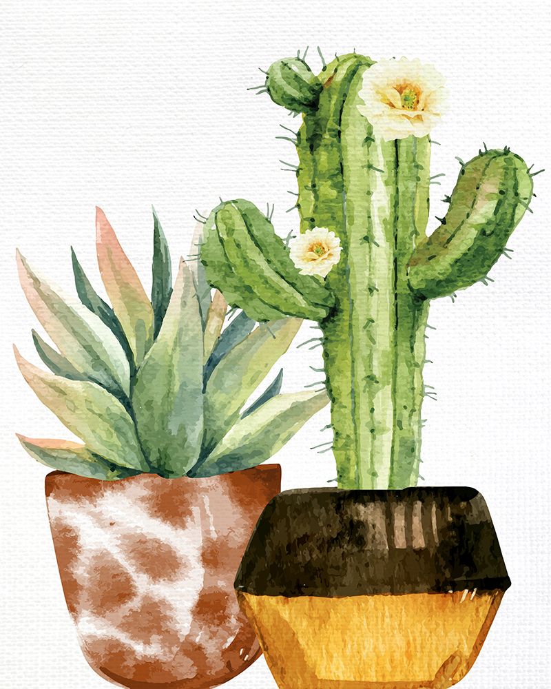 Cactus Bloom 2 art print by Kimberly Allen for $57.95 CAD