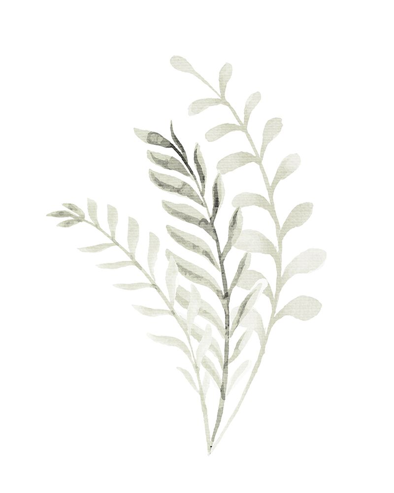 Foliage Sage 2 art print by Kimberly Allen for $57.95 CAD