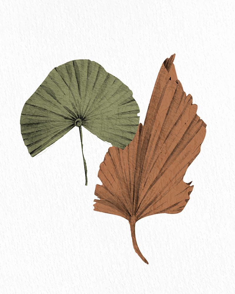 Fan 1 art print by Kimberly Allen for $57.95 CAD