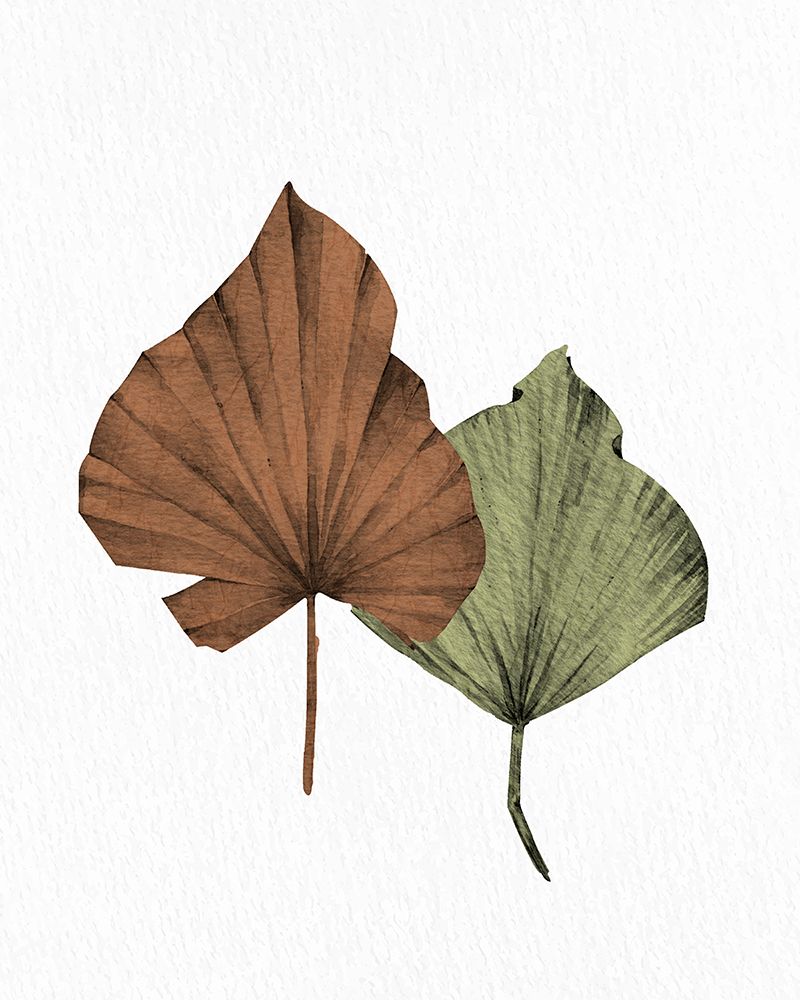 Fan 2 art print by Kimberly Allen for $57.95 CAD