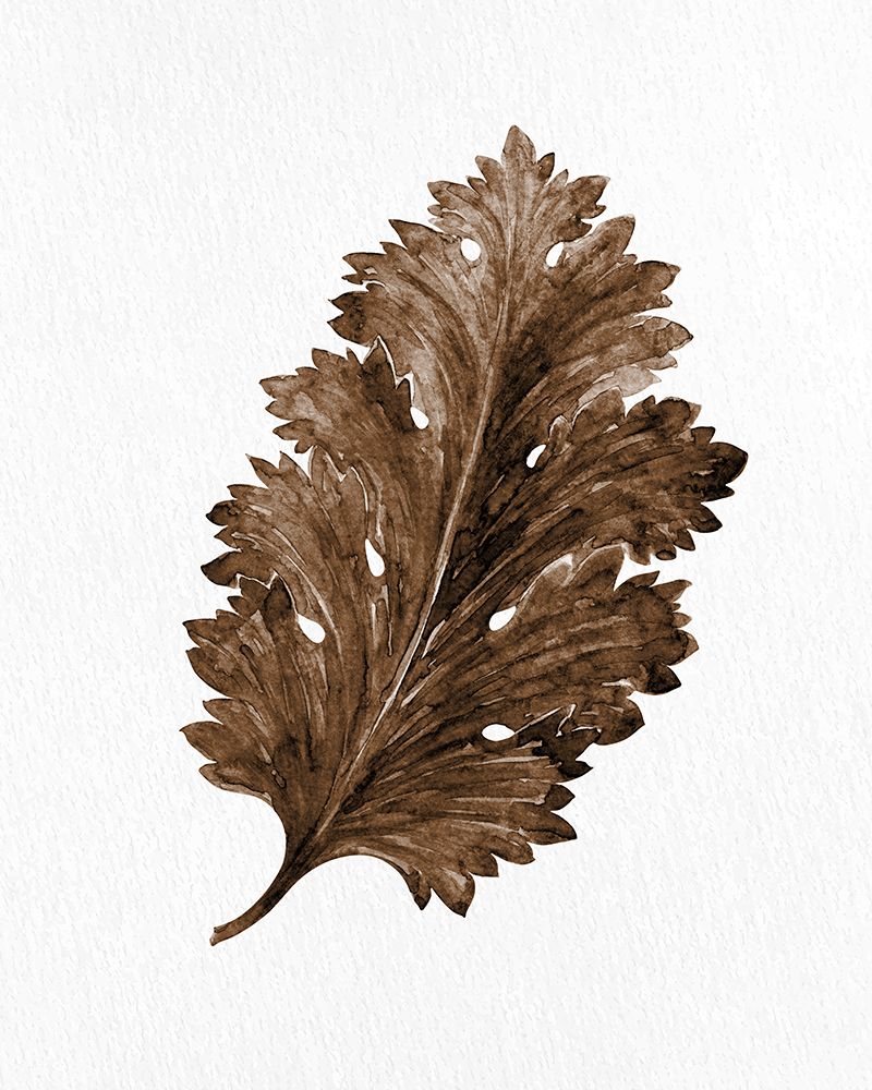 Acanthus Leaf Rust 2 art print by Kimberly Allen for $57.95 CAD