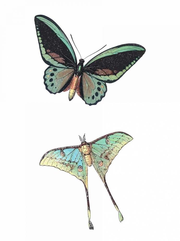 Fly Free 1 art print by Kimberly Allen for $57.95 CAD