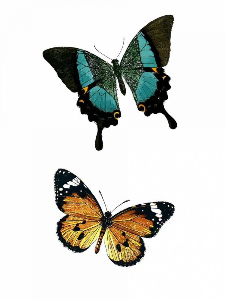 Fly Free 2 art print by Kimberly Allen for $57.95 CAD