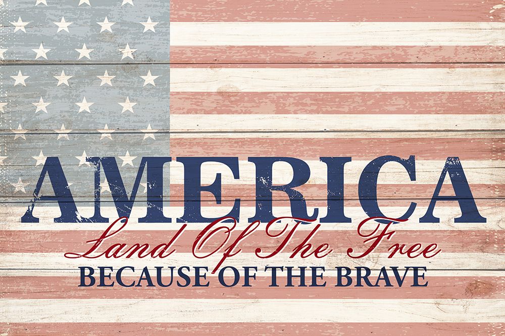 America art print by Kimberly Allen for $57.95 CAD