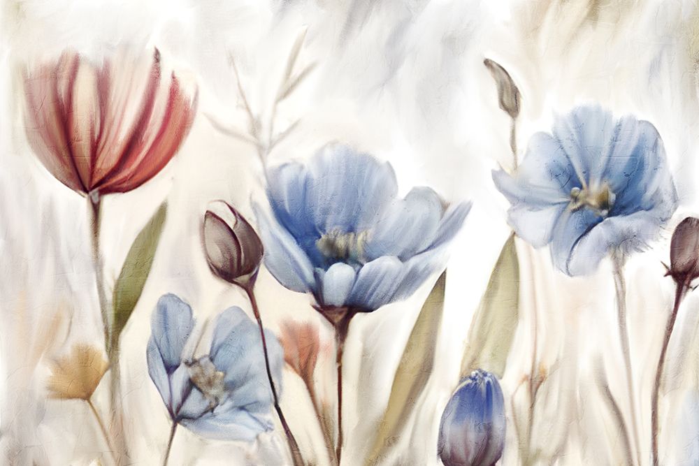 Wild 1 art print by Kimberly Allen for $57.95 CAD