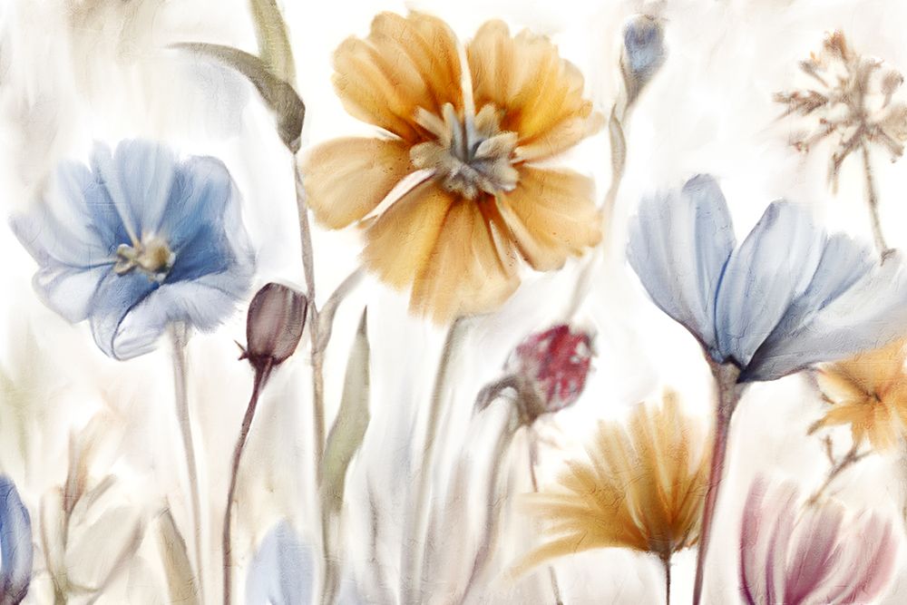 Wild 2 art print by Kimberly Allen for $57.95 CAD