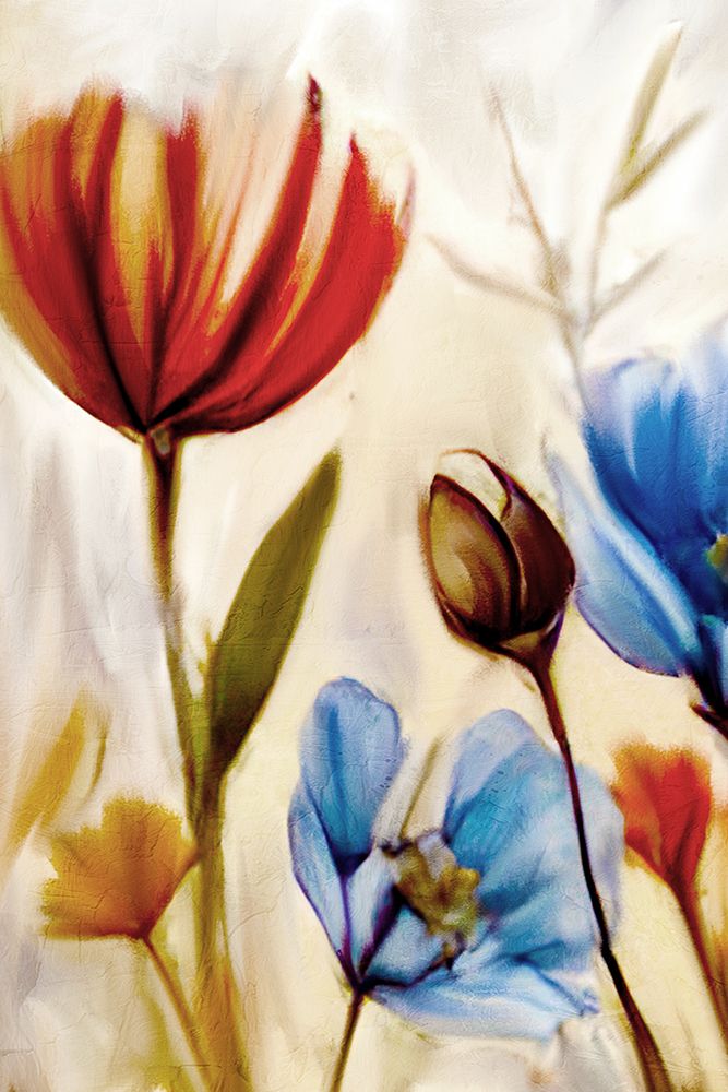 Wild Spice 1 art print by Kimberly Allen for $57.95 CAD