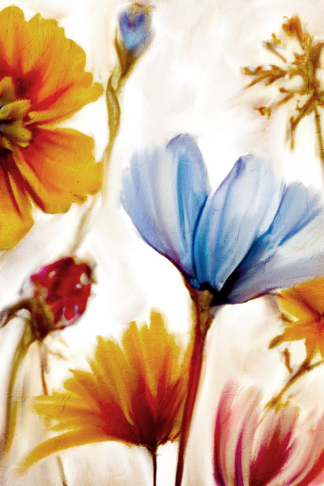 Wild Spice 2 art print by Kimberly Allen for $57.95 CAD