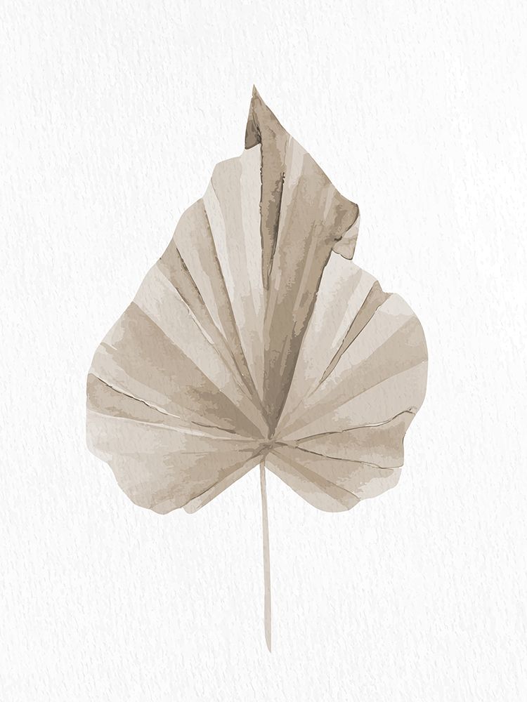 Dried 2 art print by Kimberly Allen for $57.95 CAD