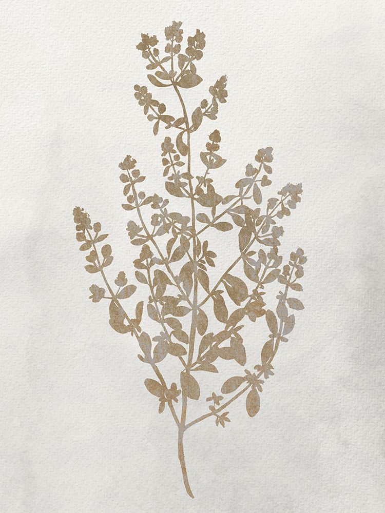 Pressed Branch 1 art print by Kimberly Allen for $57.95 CAD