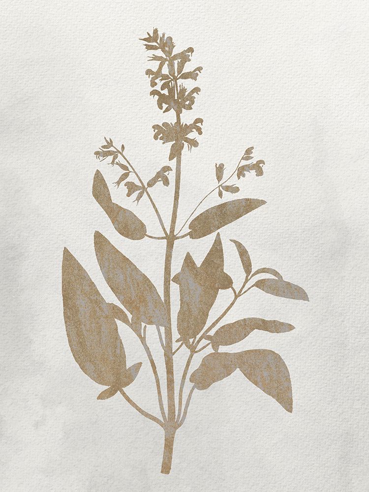 Pressed Branch 2 art print by Kimberly Allen for $57.95 CAD