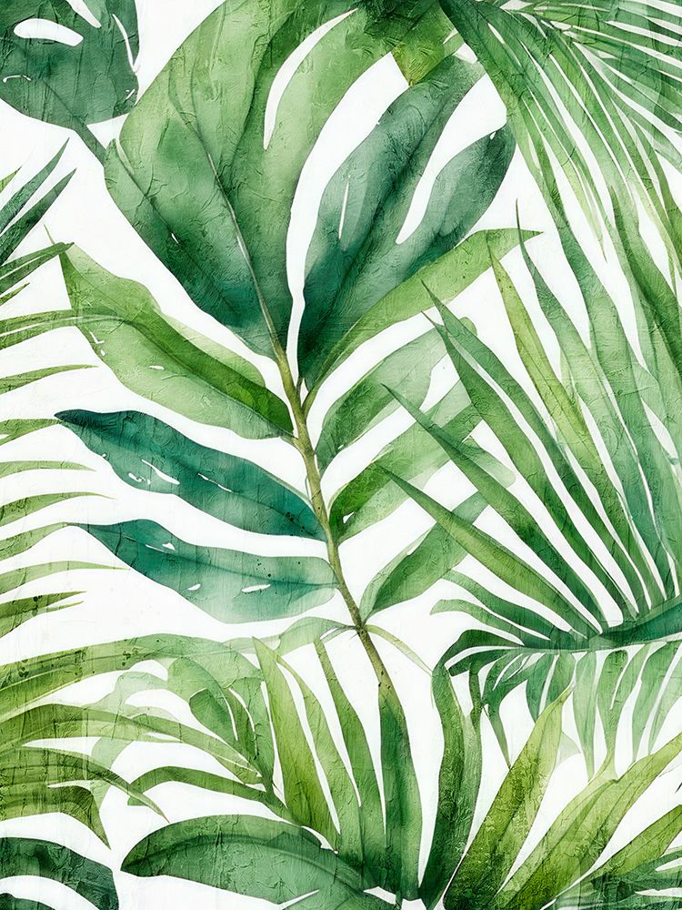 In Green 1 art print by Kimberly Allen for $57.95 CAD