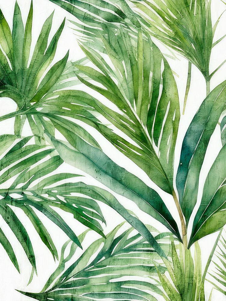 In Green 2 art print by Kimberly Allen for $57.95 CAD