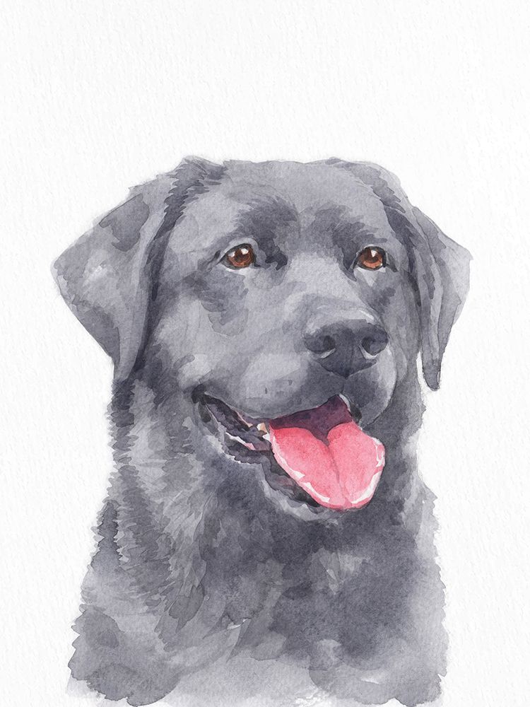 Lab Days 1 art print by Kimberly Allen for $57.95 CAD